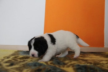 IMG 0014 kl