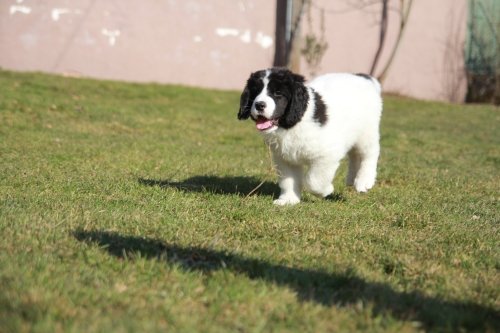 IMG 0569 kl